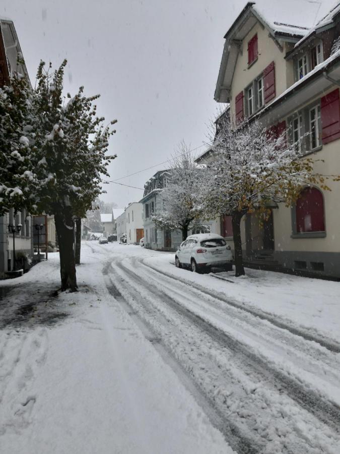 Ferienwohnung Rothorn Meiringen Εξωτερικό φωτογραφία